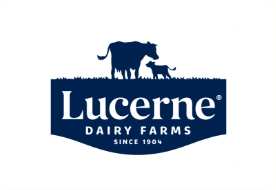Lucerne. Dairy Farms. Since 1904.